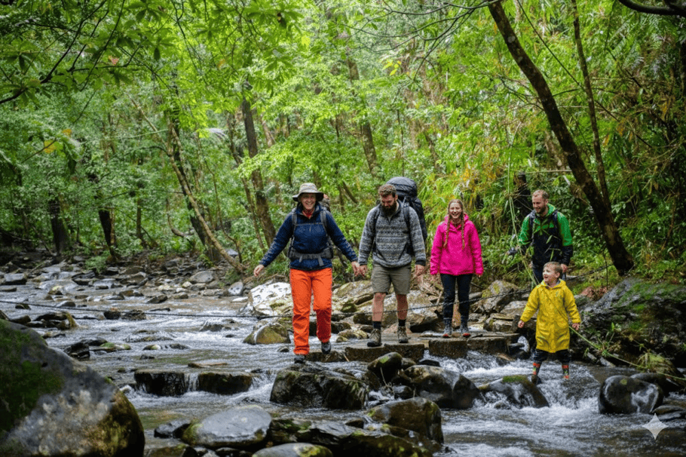 Bach Ma offers an extensive network of hiking trails suitable for various fitness levels and interests